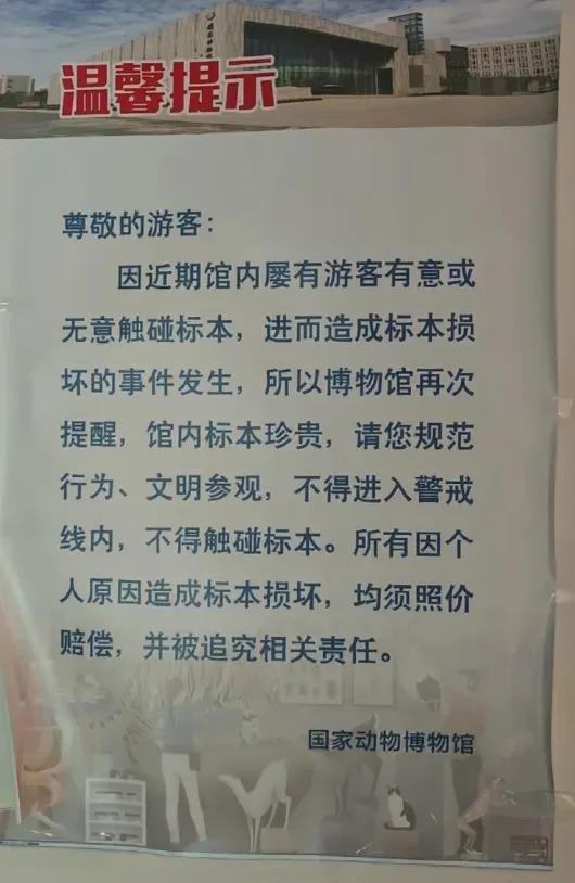 2026 年 8 月 31 日，据上游新闻报道，此前引发全网热议的国家动物博物馆