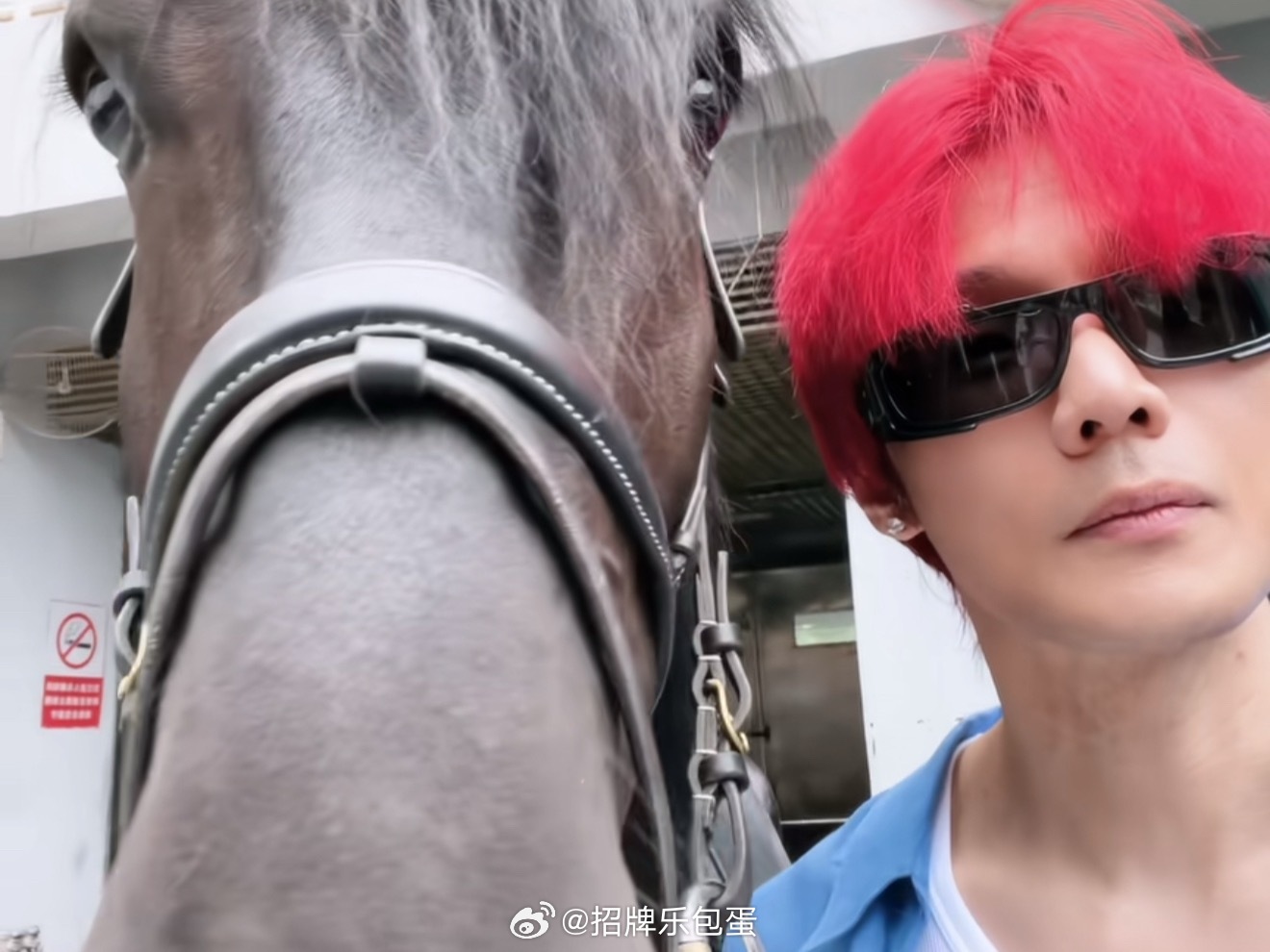 你不会真要在舞台上一边吃馕一边牵一匹马出来吧 