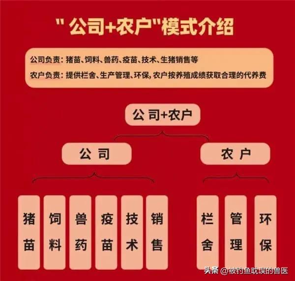 还在为养猪成本高、利润薄发愁吗？今天给“公司+农户”模式下的养猪人分享一个增收秘