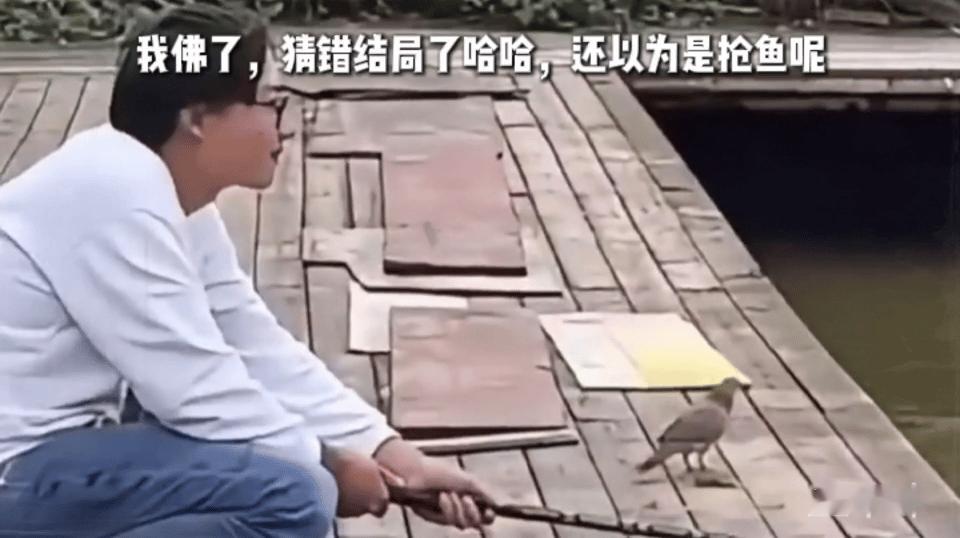 我佛了，猜错结局了哈哈，还以为是抢鱼呢 ​​​
