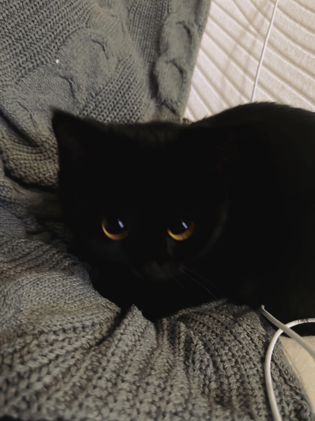 你根本不爱宝、你爱de只是暖手宝