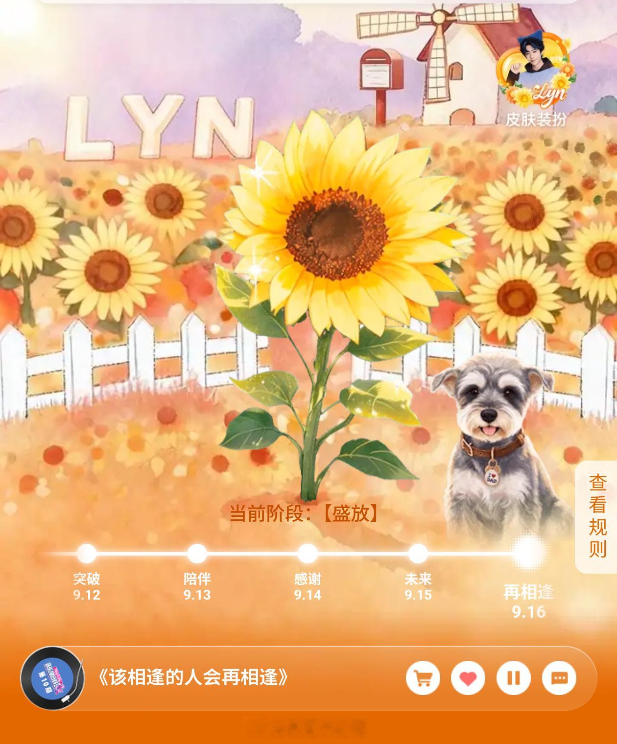 早起听歌看帅哥舒服我们的向日葵开花🌼啦刘宇宁官宣酷狗音乐代言人 ​​​