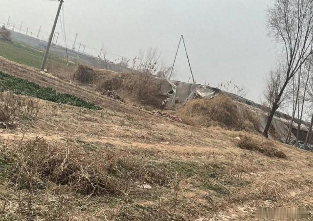 邯郸初中生被害案主犯为何不判死刑?专家解读据中共中央政法委员会微信公众号“中央政
