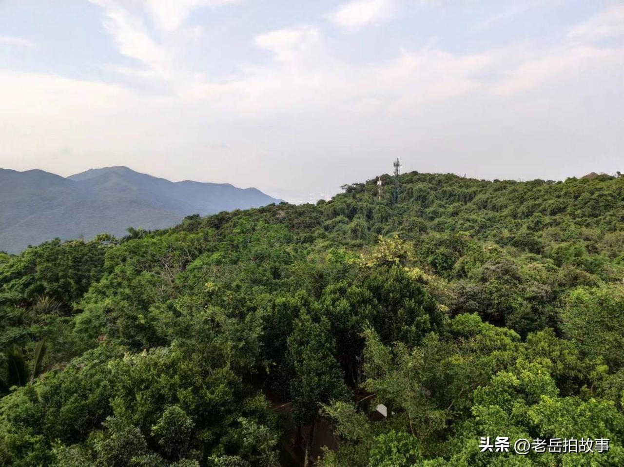 今天听了一位老先生的话，让我思量了一天，内心是五味杂陈，久久不能平静，老先生说，