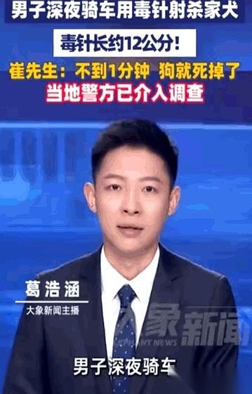 深夜11点多，浙江嘉兴海盐县，崔先生的水果店还亮着灯。
他养了两年的狗，正趴在门