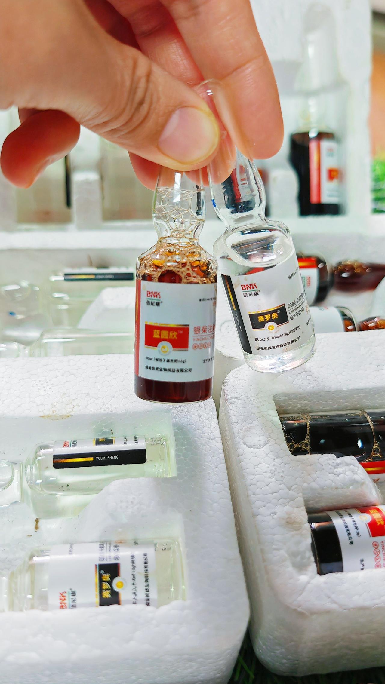 养羊人 农村养羊 牛羊养殖