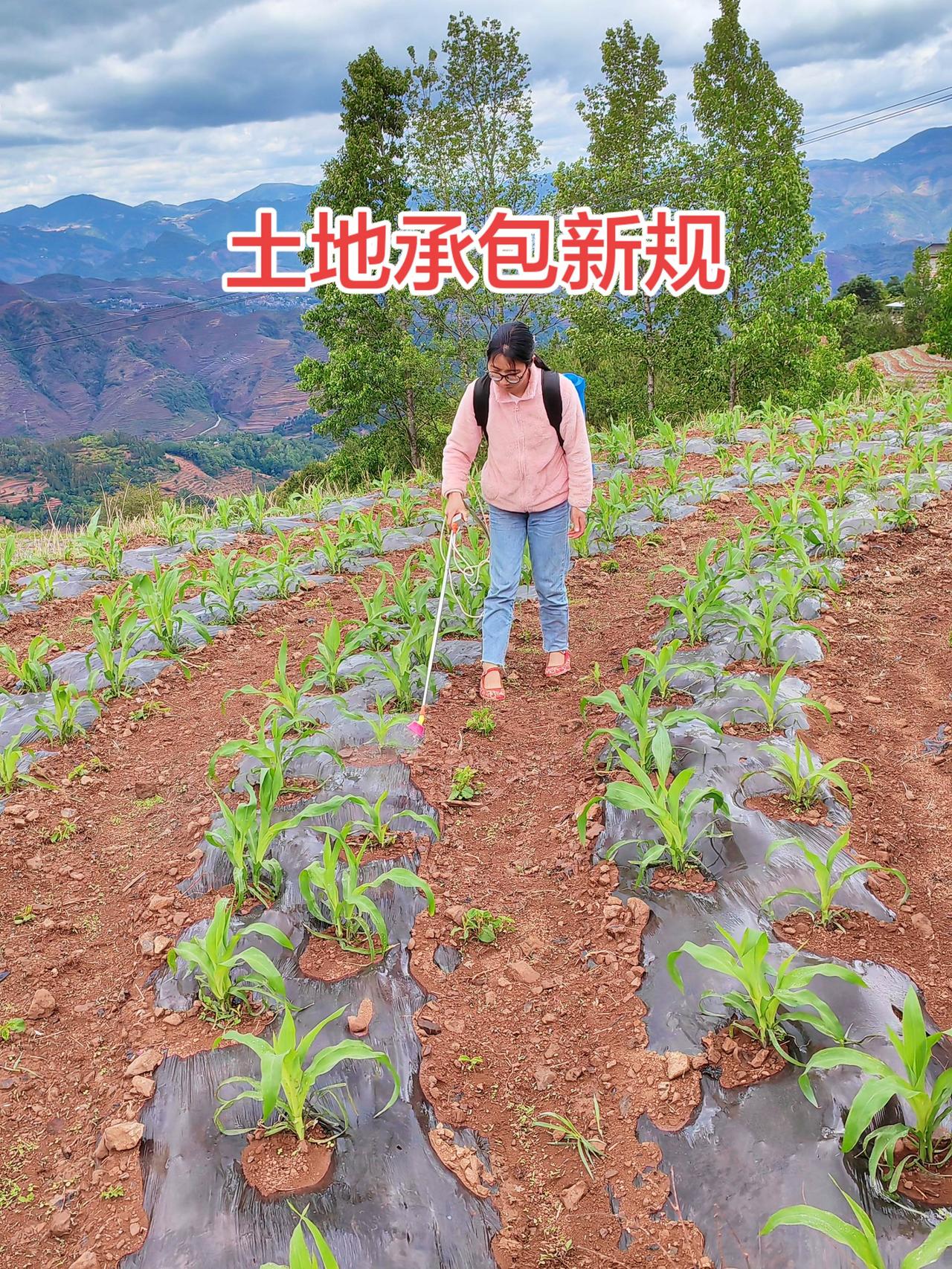 老百姓关心的话题 农业种植 三农流量扶持计划 心系三农服务三农