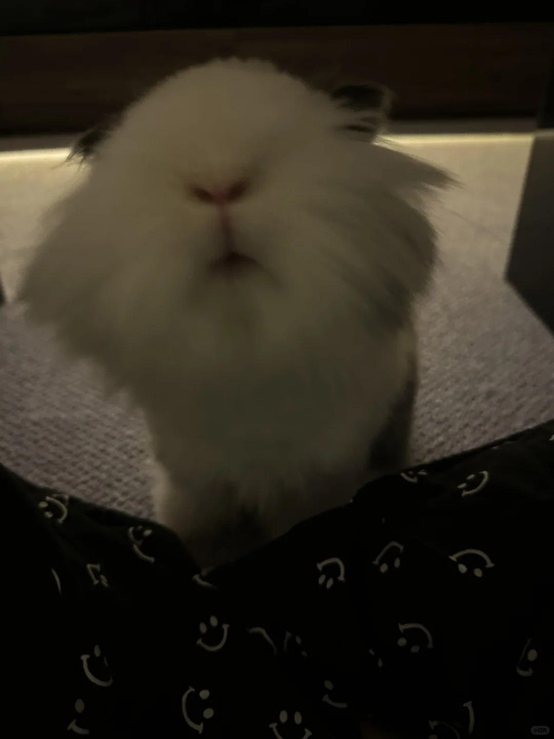 先睡了姐妹们