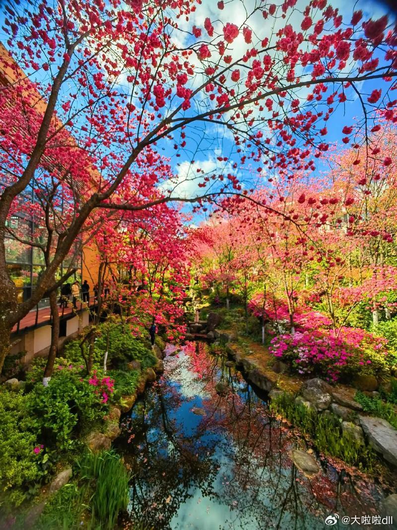 🎊💗💐🍋🍋 🎊💗💐🍋🍋  🎊春夏秋冬🍋    🎊💗?