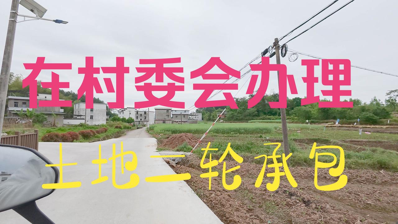 二轮土地承包
       我国二轮土地承包大多始于1996 - 1999年，承