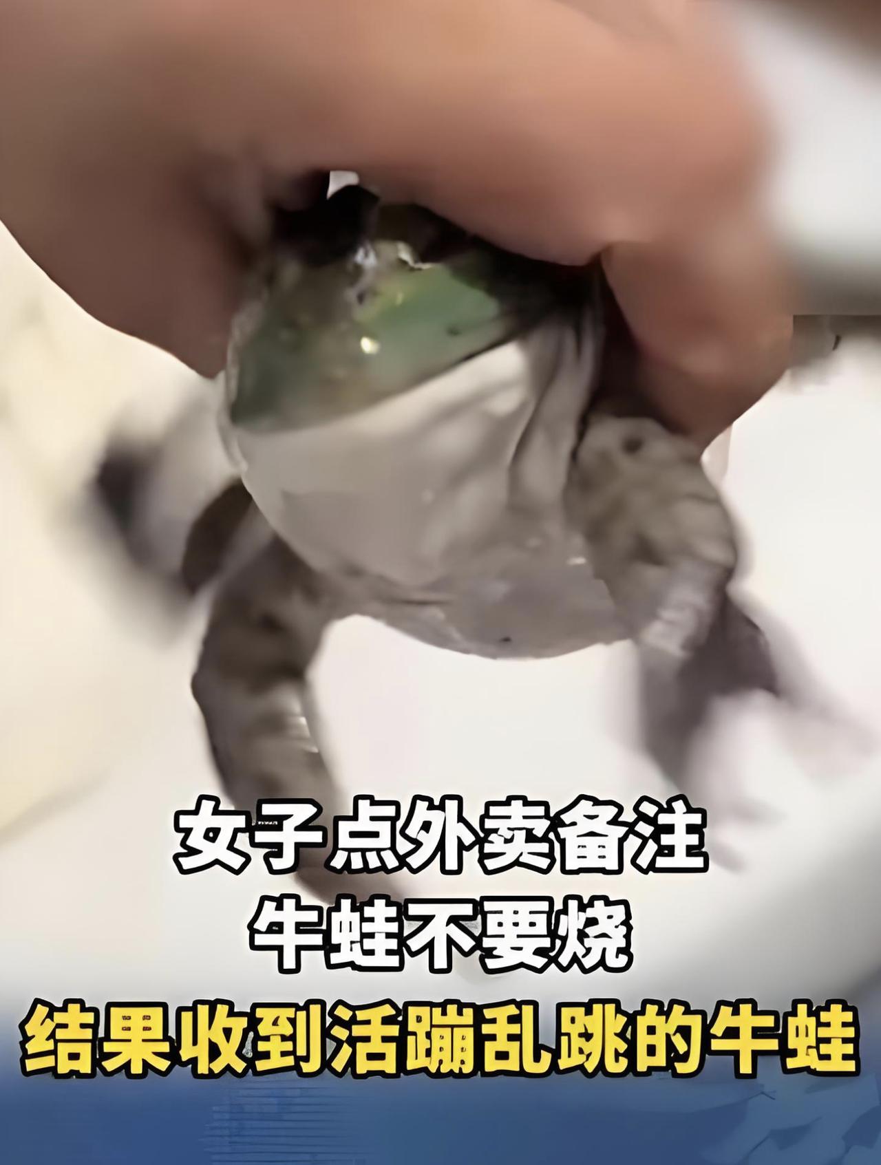 大写的离谱！上海一姑娘点外卖想吃牛蛙，特意备注“牛蛙不要烧”，你猜怎么着？商家直