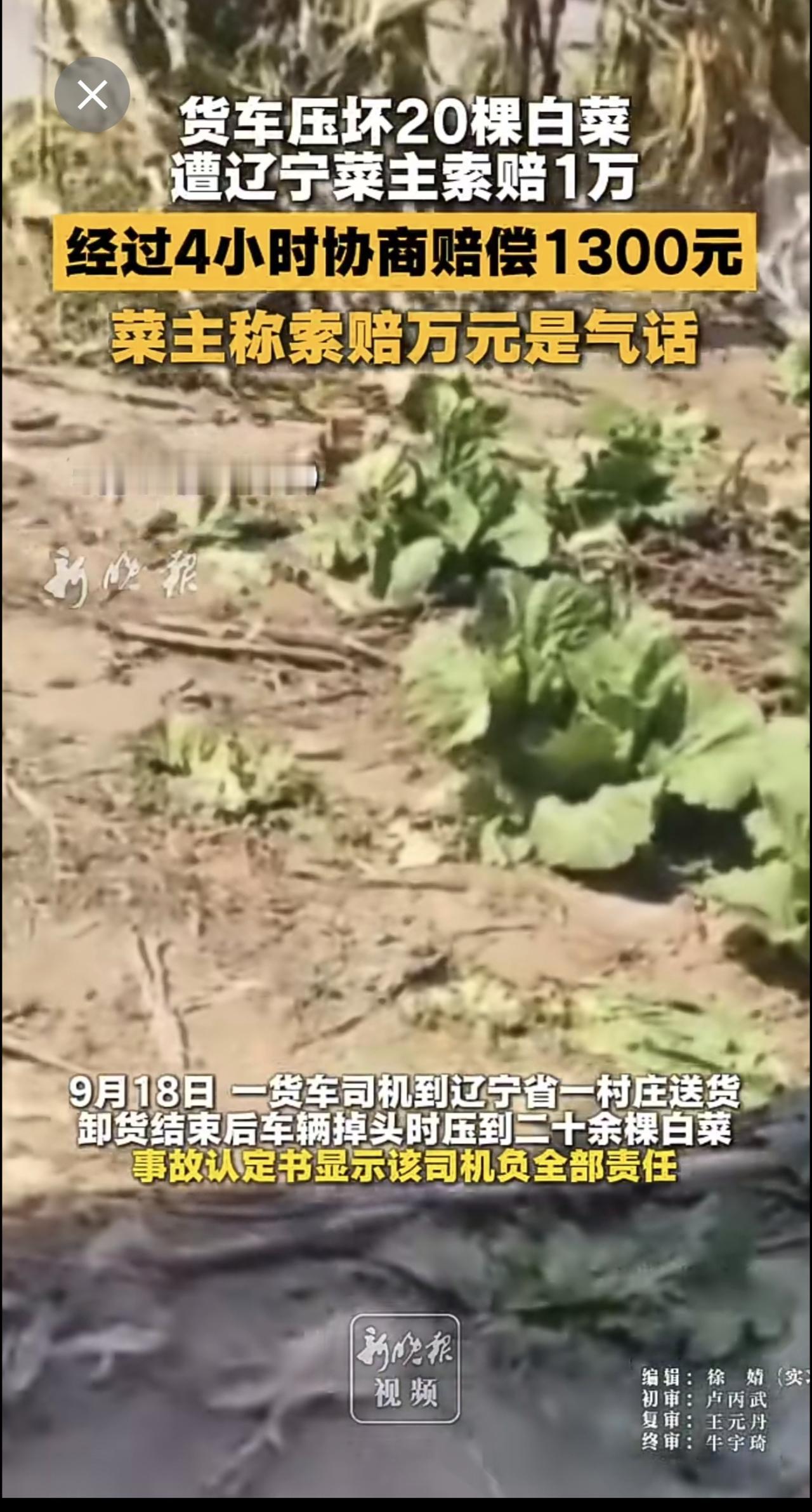 货车压坏20棵白菜遭辽宁菜主索赔1万，经过4小时协商赔偿1300元，菜主称索赔万
