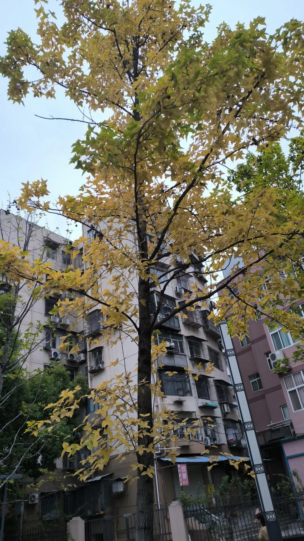 #一张照片显示秋天#