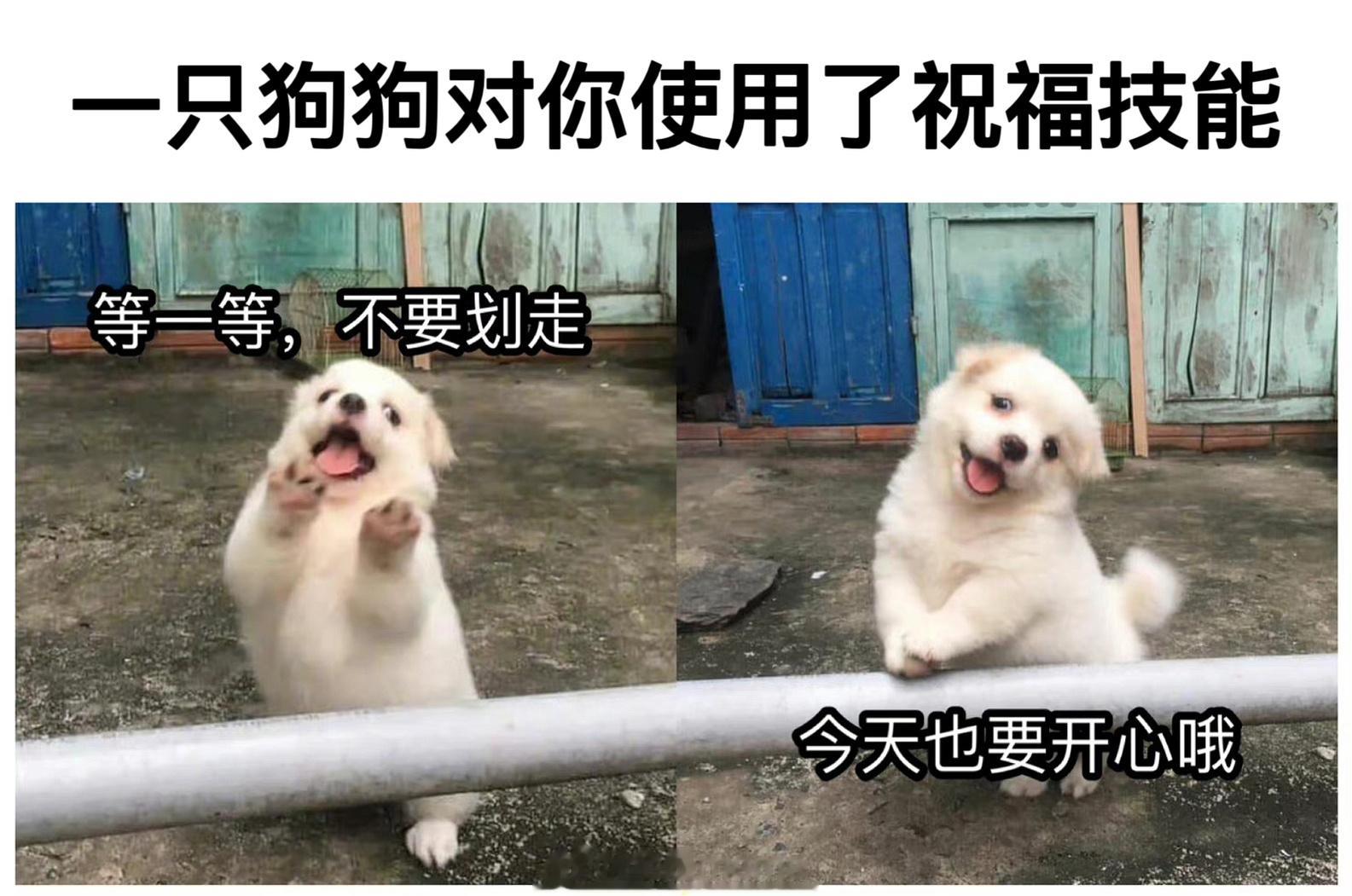 #meme##me_irl# ​​​