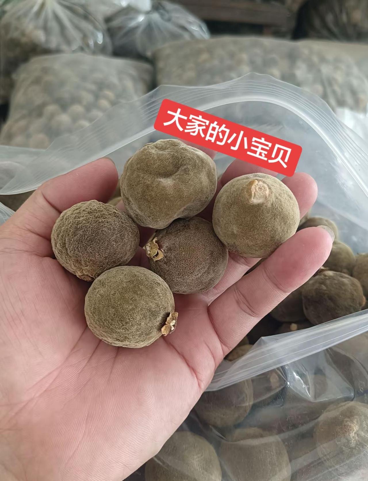 全网最暖城市之一广东化州。新老家伙都出来了，晒晒太阳，透透气…化州 化橘红之乡 