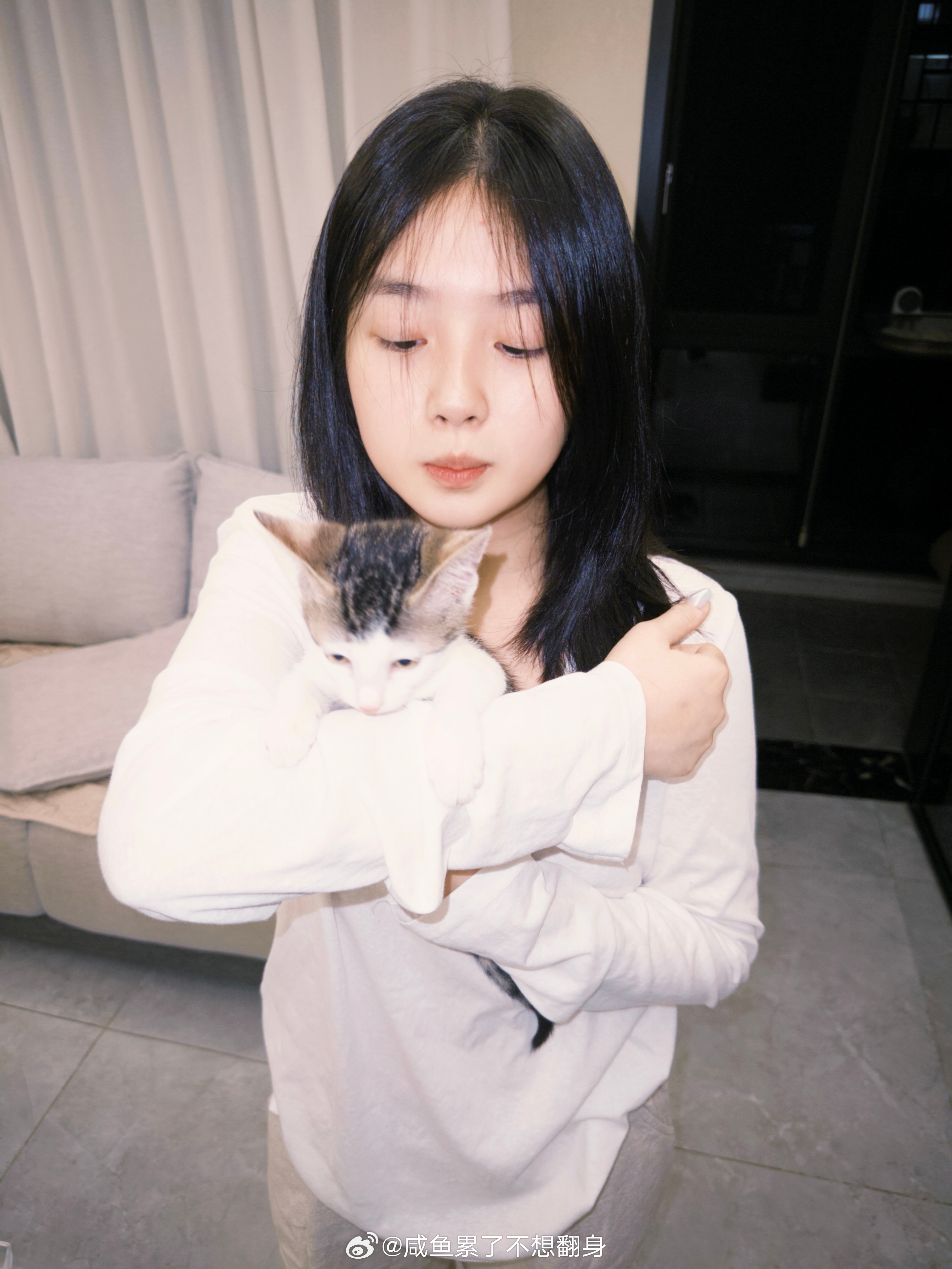 猫狗双全～～ ​​​