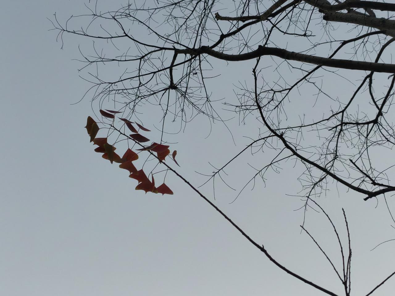 日本的地理位置，决定了必须“走出去”，日本人的个性，决定了会一直寻求“扩张”。