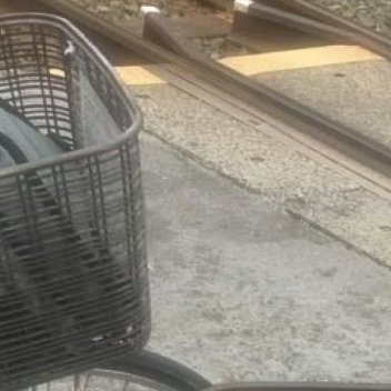 1230不能接受失败，也意味太想去成功了，从心理学上解释，人的期望值越大，心理承