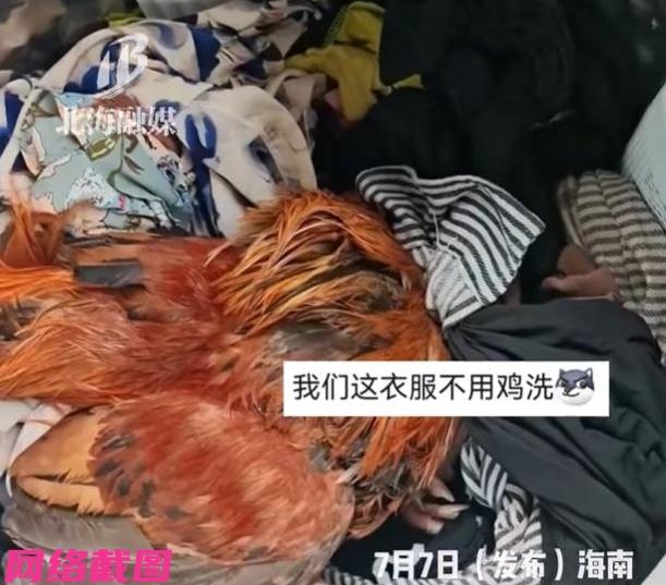 海南有人用洗衣机洗衣服时，突然听到洗衣机内有异常响动，不由停止工作中的洗衣机随即