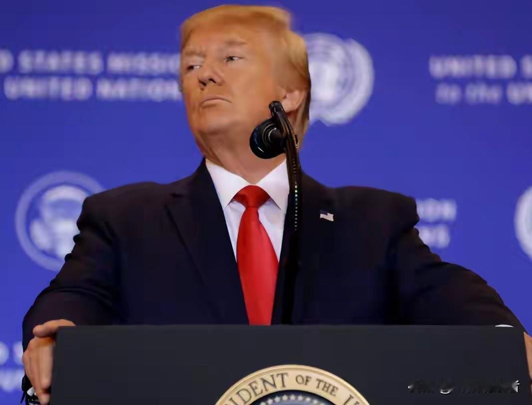 “关税之王”对韩国发飙，要立刻看到3500亿美元，天啦！这可不是个小数目？

“