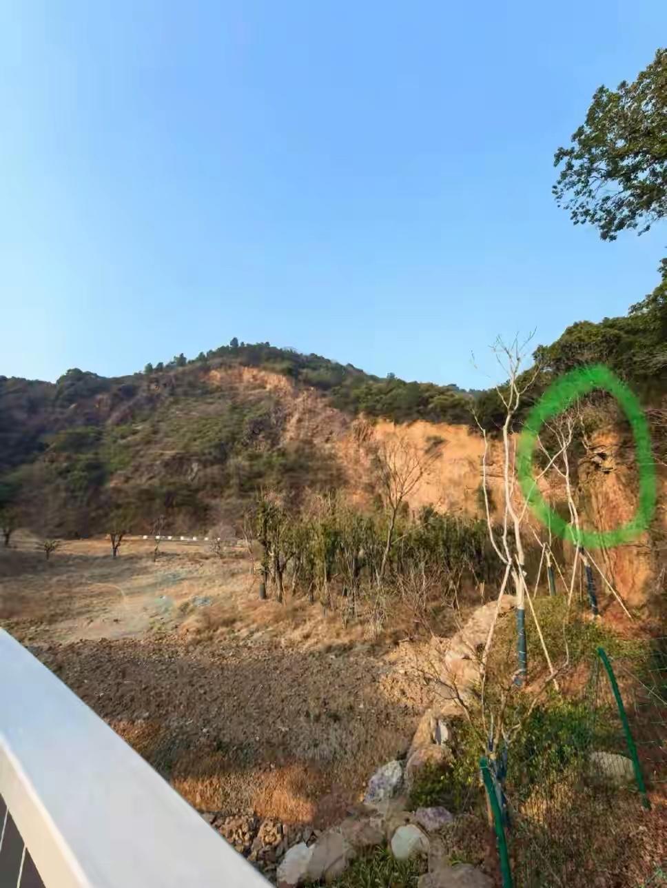 实拍曝光！杭州临平山山体藏古墓残骸，当地居民早已知晓

近日，有网友在小红书发帖