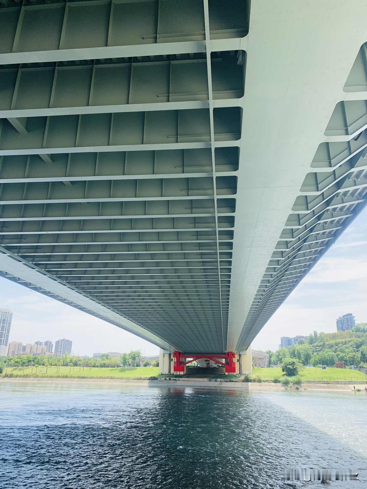 早上起来沿着锦江往南遛个弯24KM，本来天气还不错是个阴天的，后面太阳出来了，简