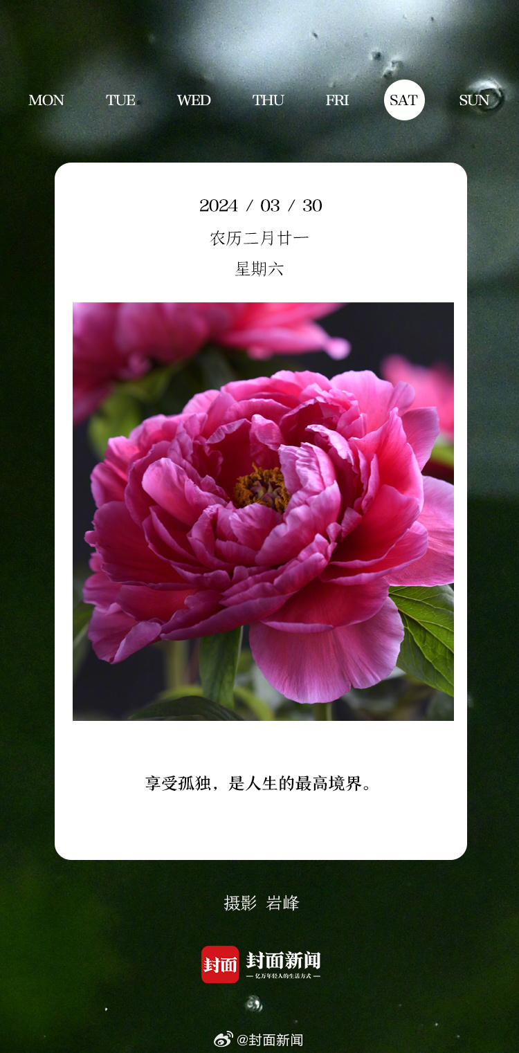 #小封日历#早安，美好的周六来啦！今天叫醒你的是_____？ ​​​