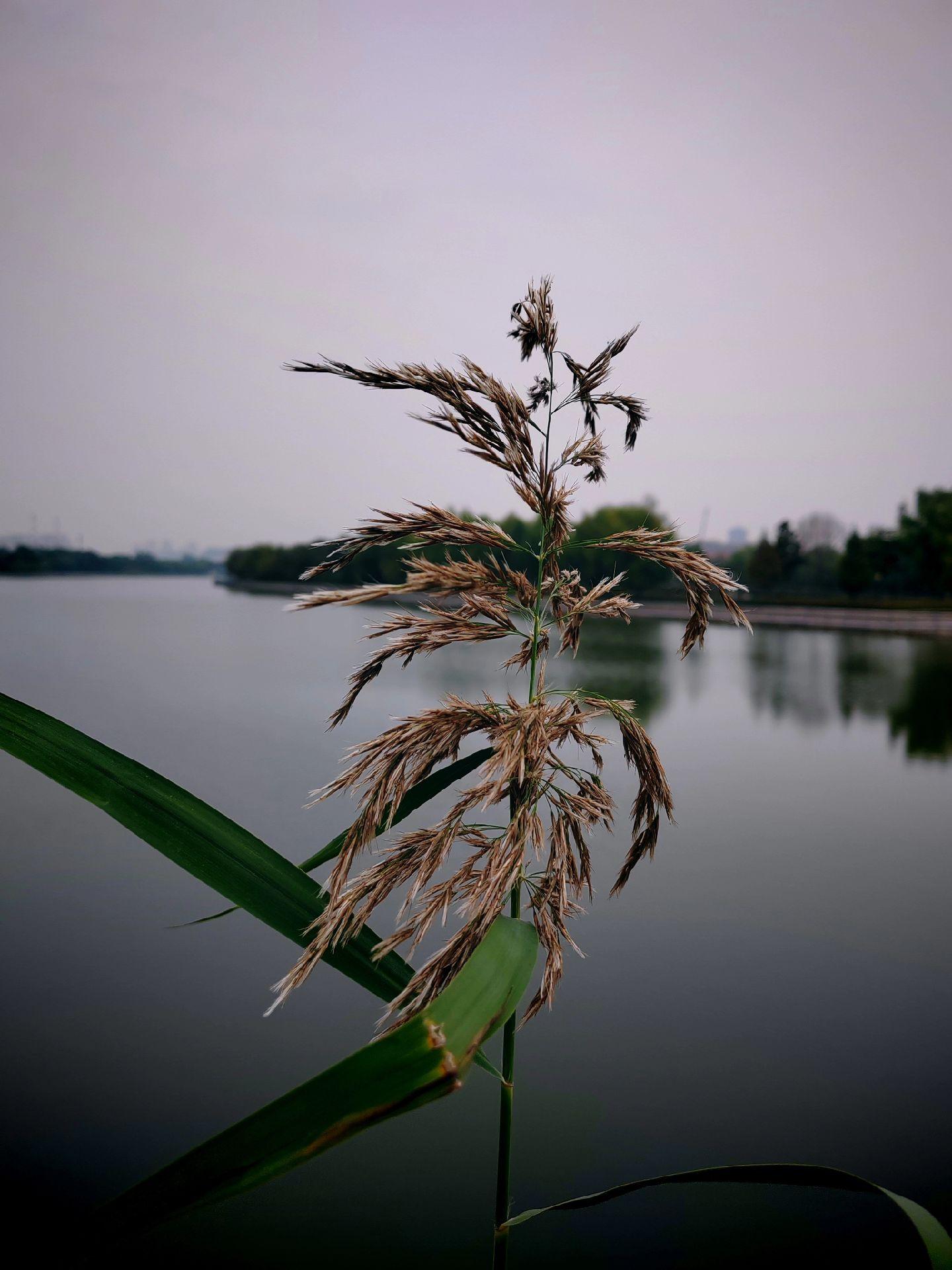 那个遥远的救世主，其实就是你。（原创）  终有一天你会明白，即便是在父...
