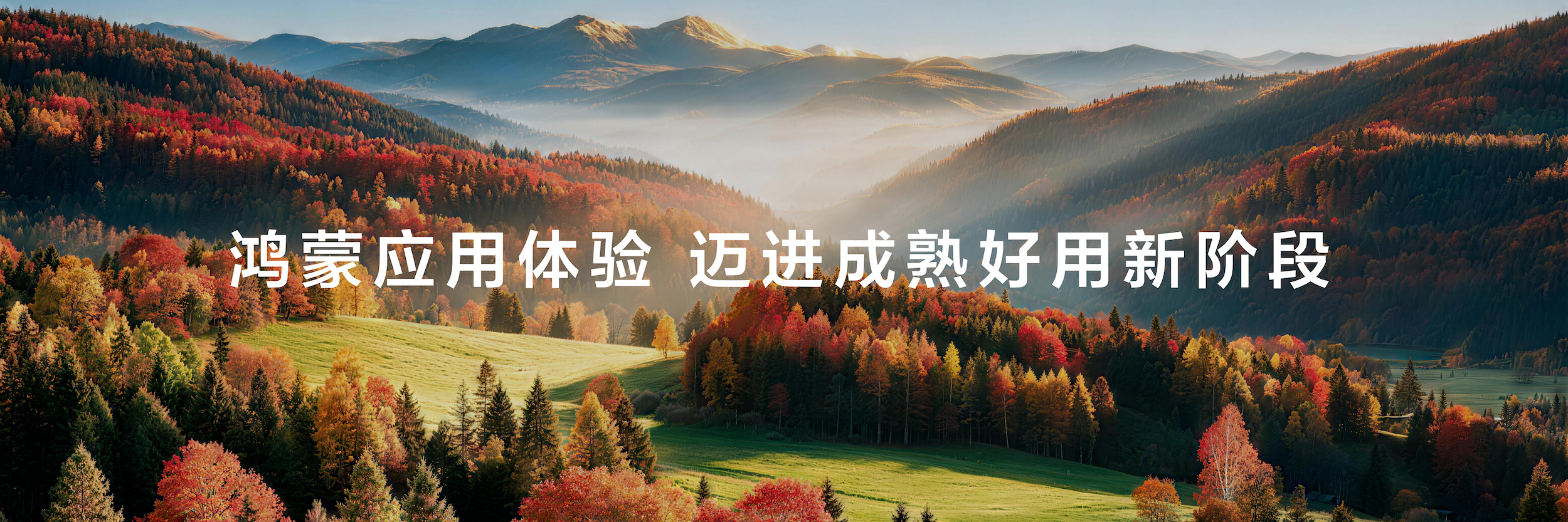 根据鸿蒙7发布会刚出的数据，鸿蒙终端设备数量突破8500万，说实话看到这个数字还