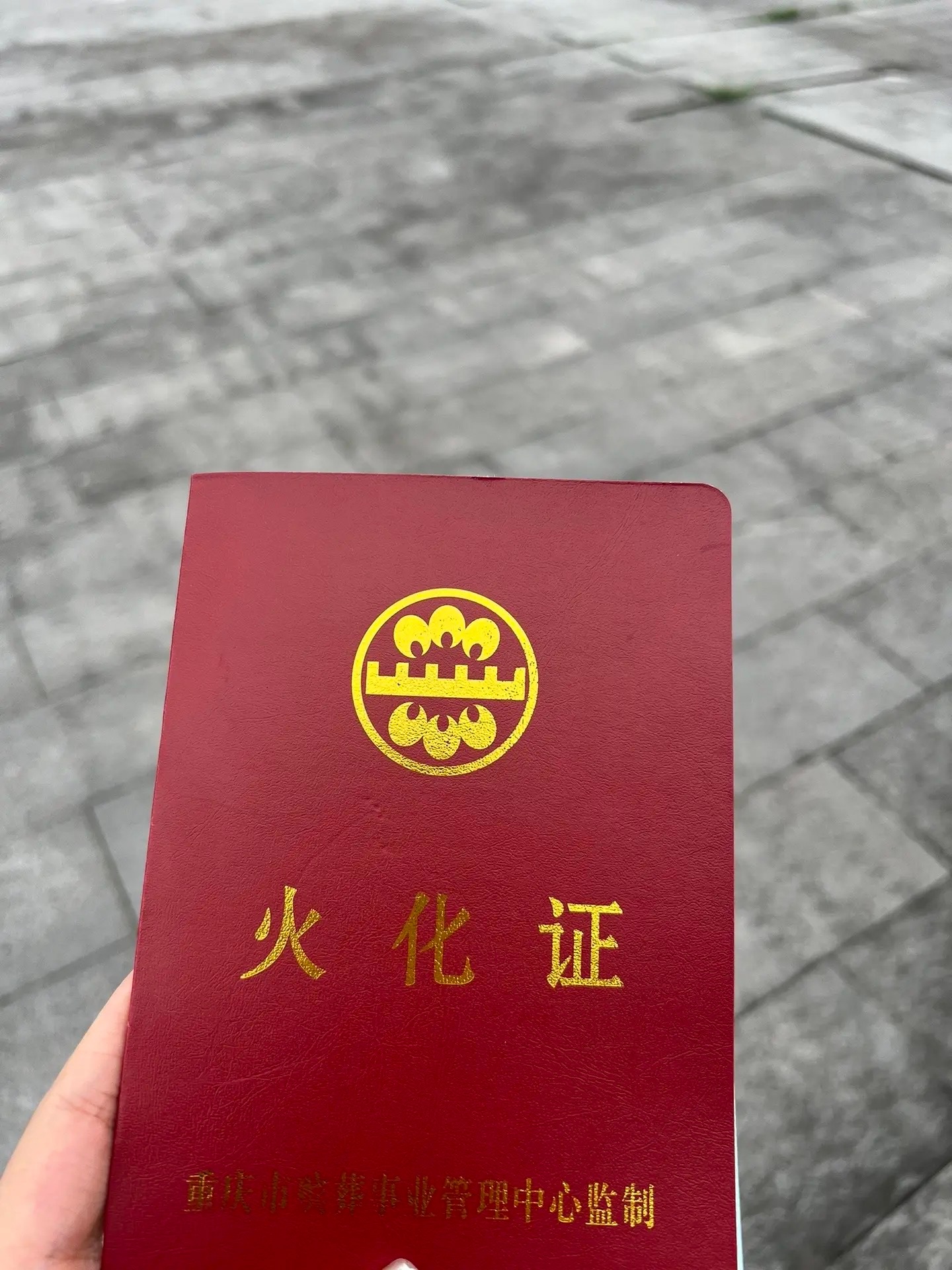 #胖猫已火化# 胖猫已经火化了，姐姐发的火化证，火化证显示胖猫的去世时间是4月2