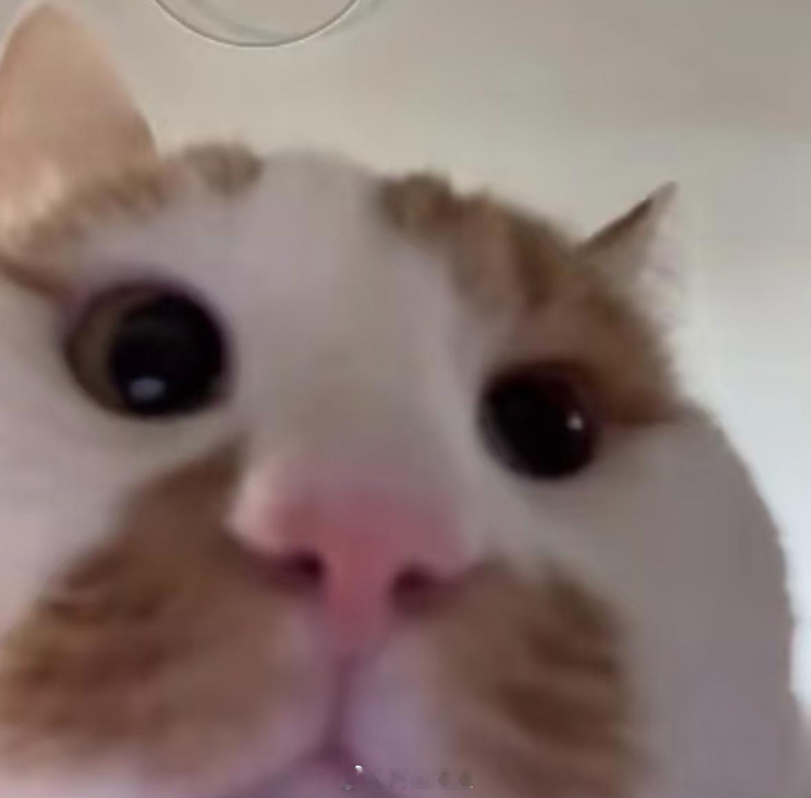 25年了还有人愿意为了我的5s像素点赞真是令人感到幸福啊 ​​​