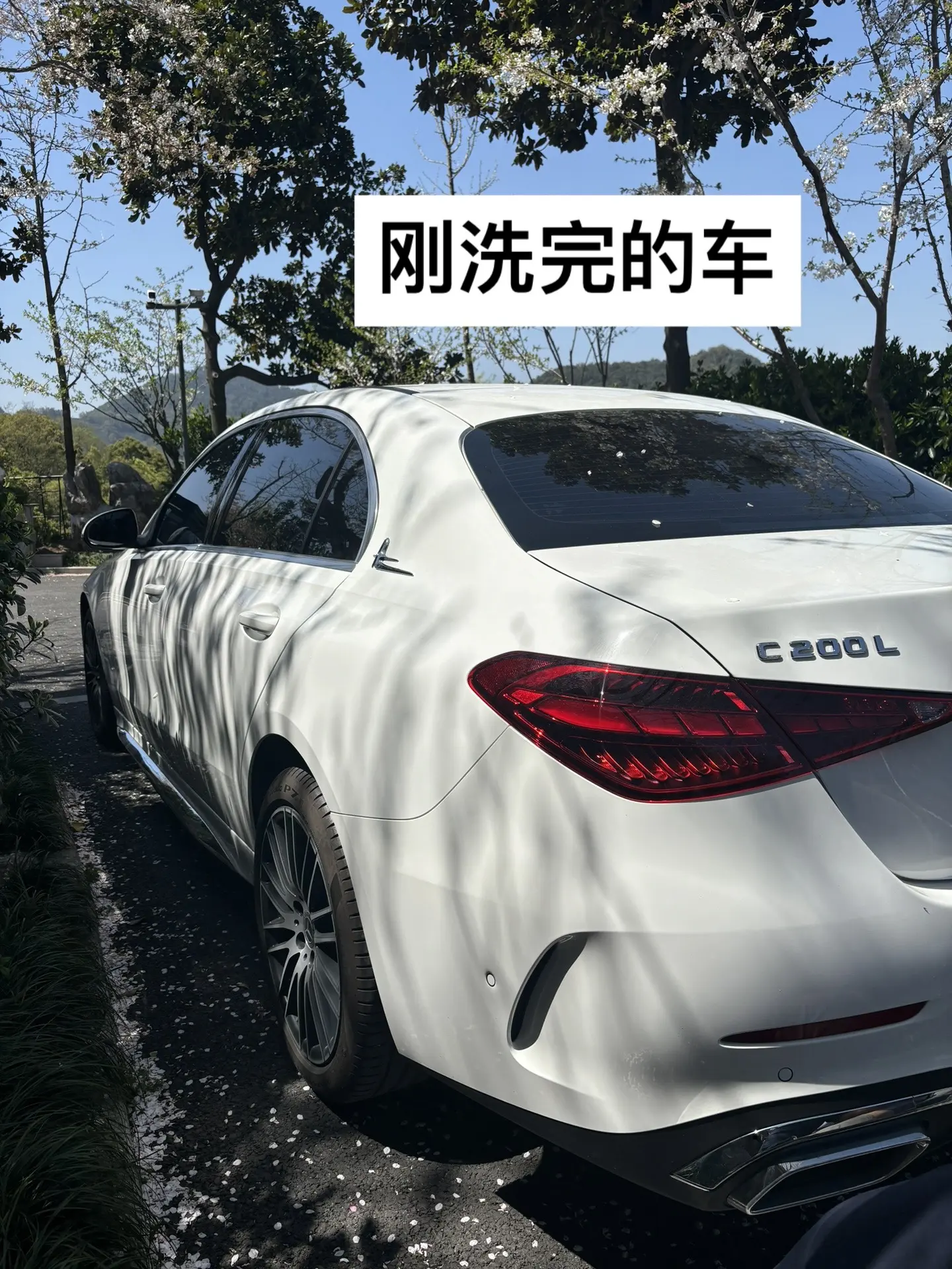 杭州你能不能让我多稀罕两天我刚洗完的车！在杭州洗个车都能把天气预报翻烂