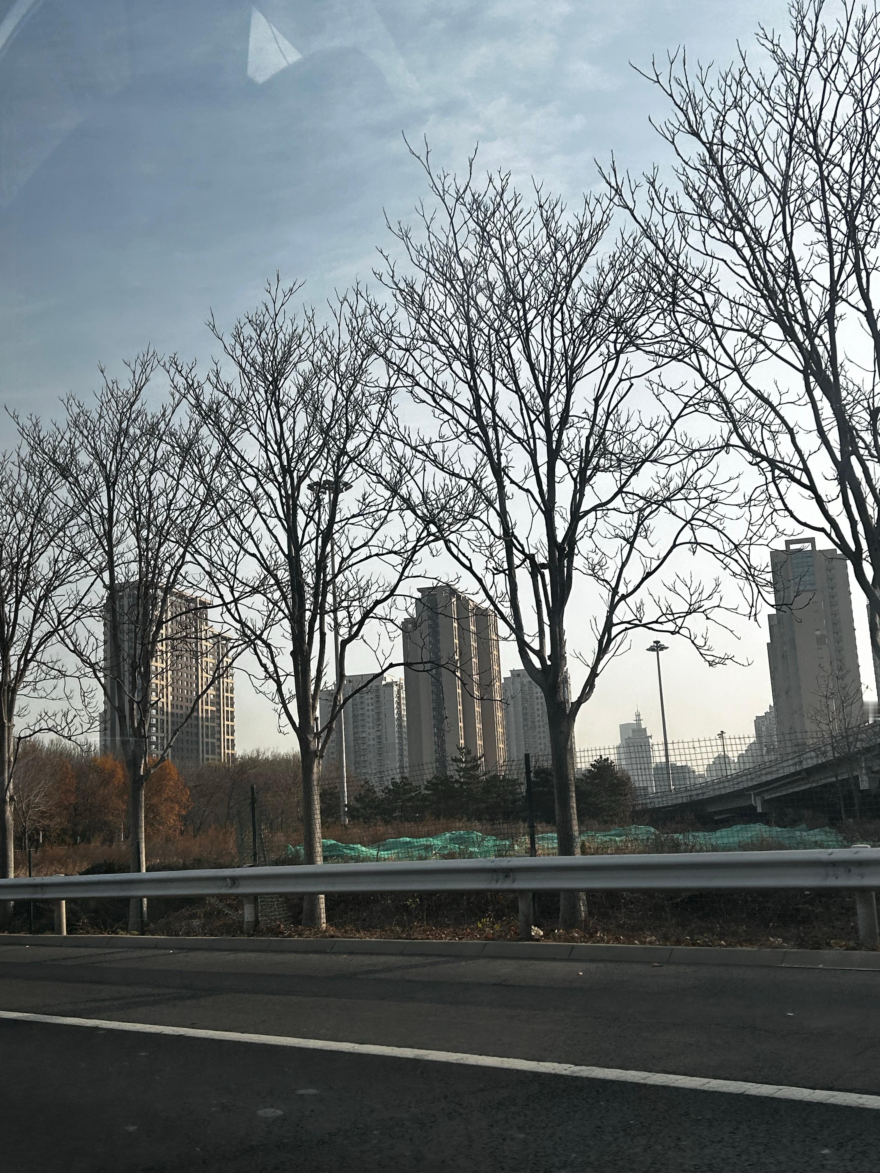 偶遇湖光壹号☝🏻 