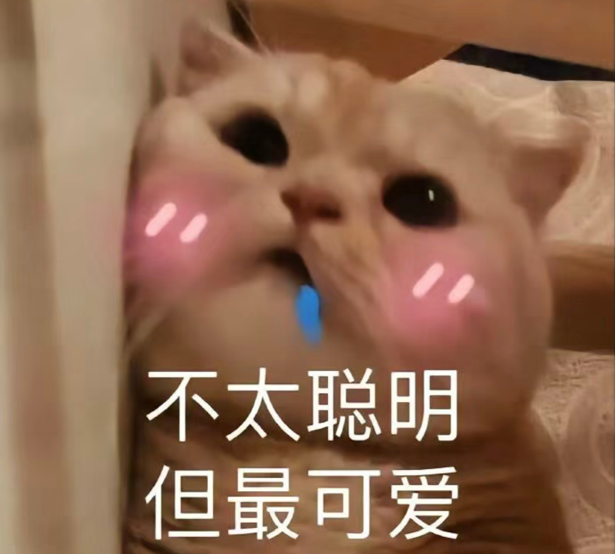 今天收的图 ​​​