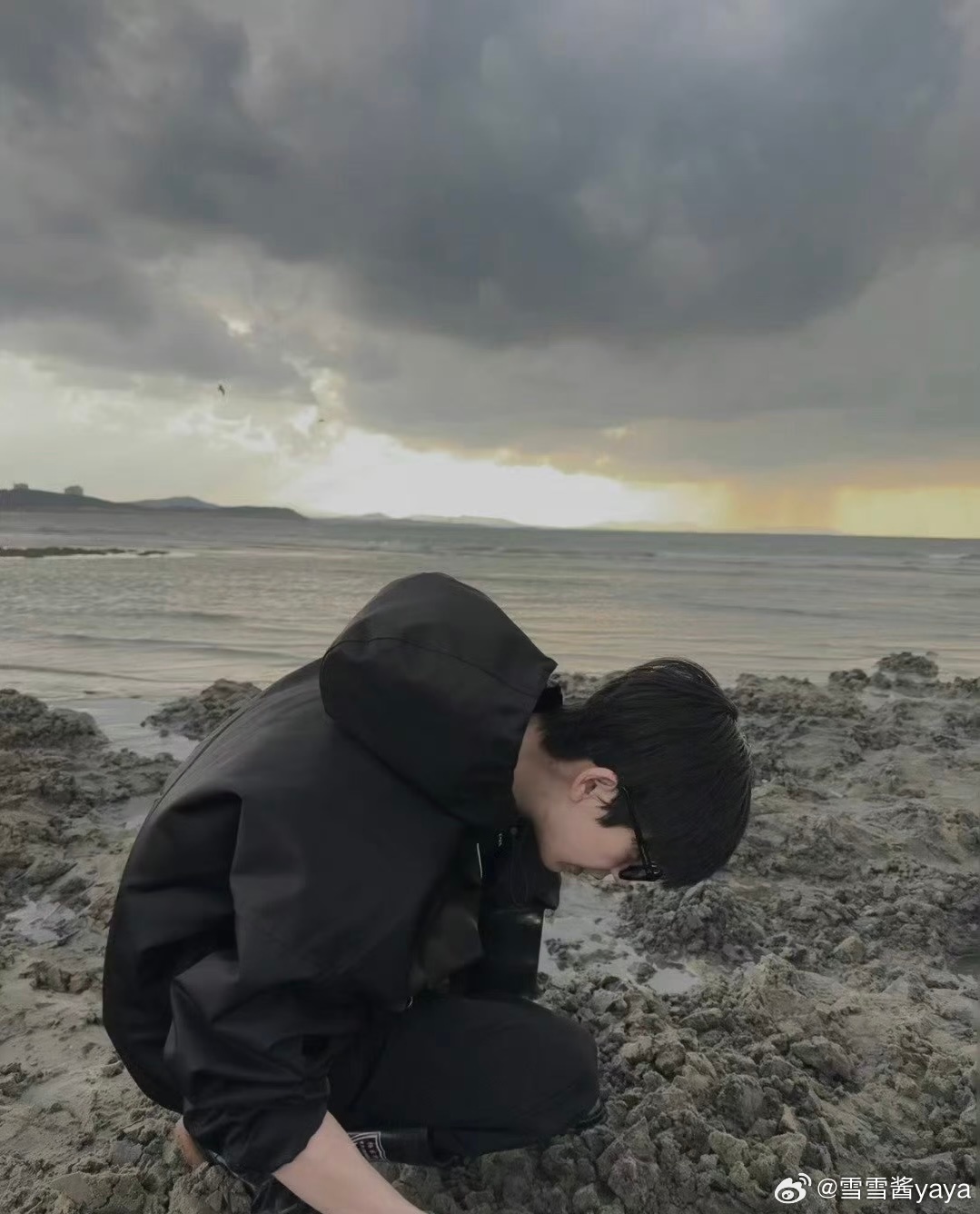 张凌赫爱你 zlh 张凌赫何苏叶                        