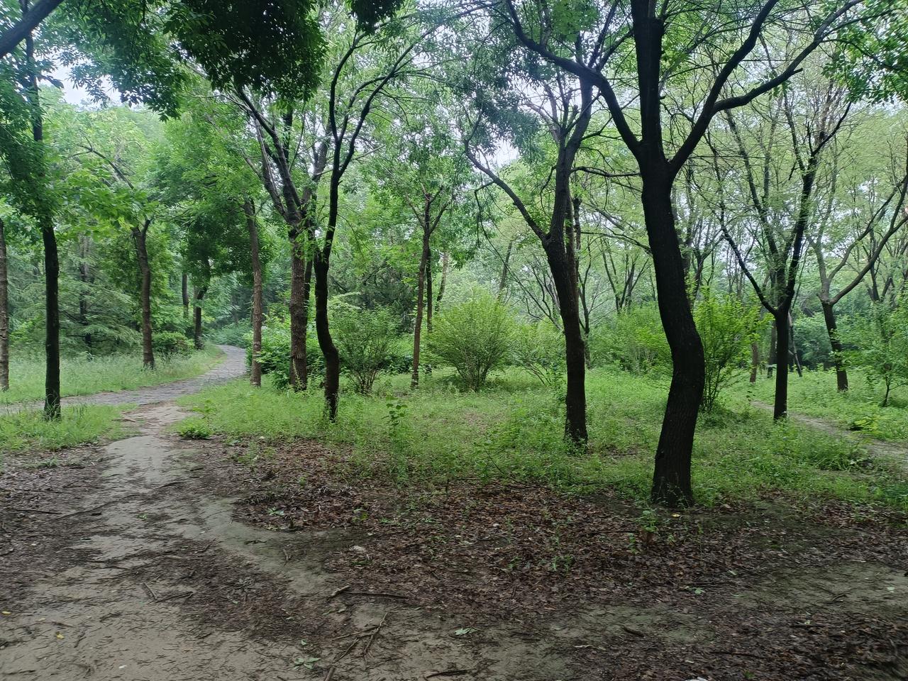 今天练拳同伴说了一句话很经典，
练拳，手不要乱动，重在腰胯动，
手乱动就散板，