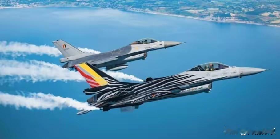 会不会玩火自焚！

日本突然宣布了重磅消息！

12月2日消息，日本陆上自卫队计