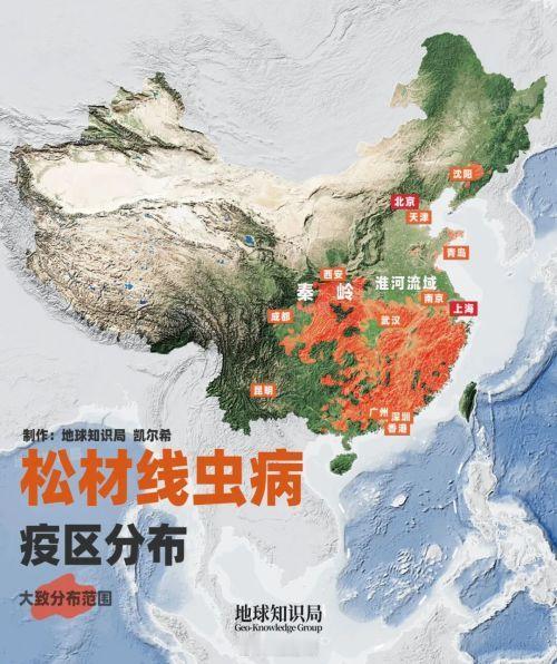 南虫北上？？？    网页链接