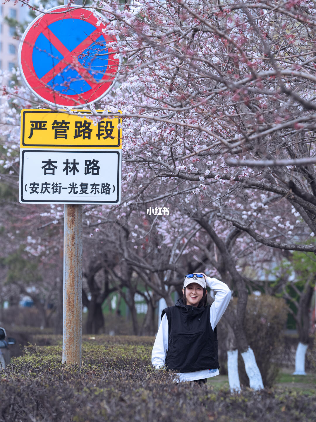 东北的春天才来，错过的春天在佳木斯补上了