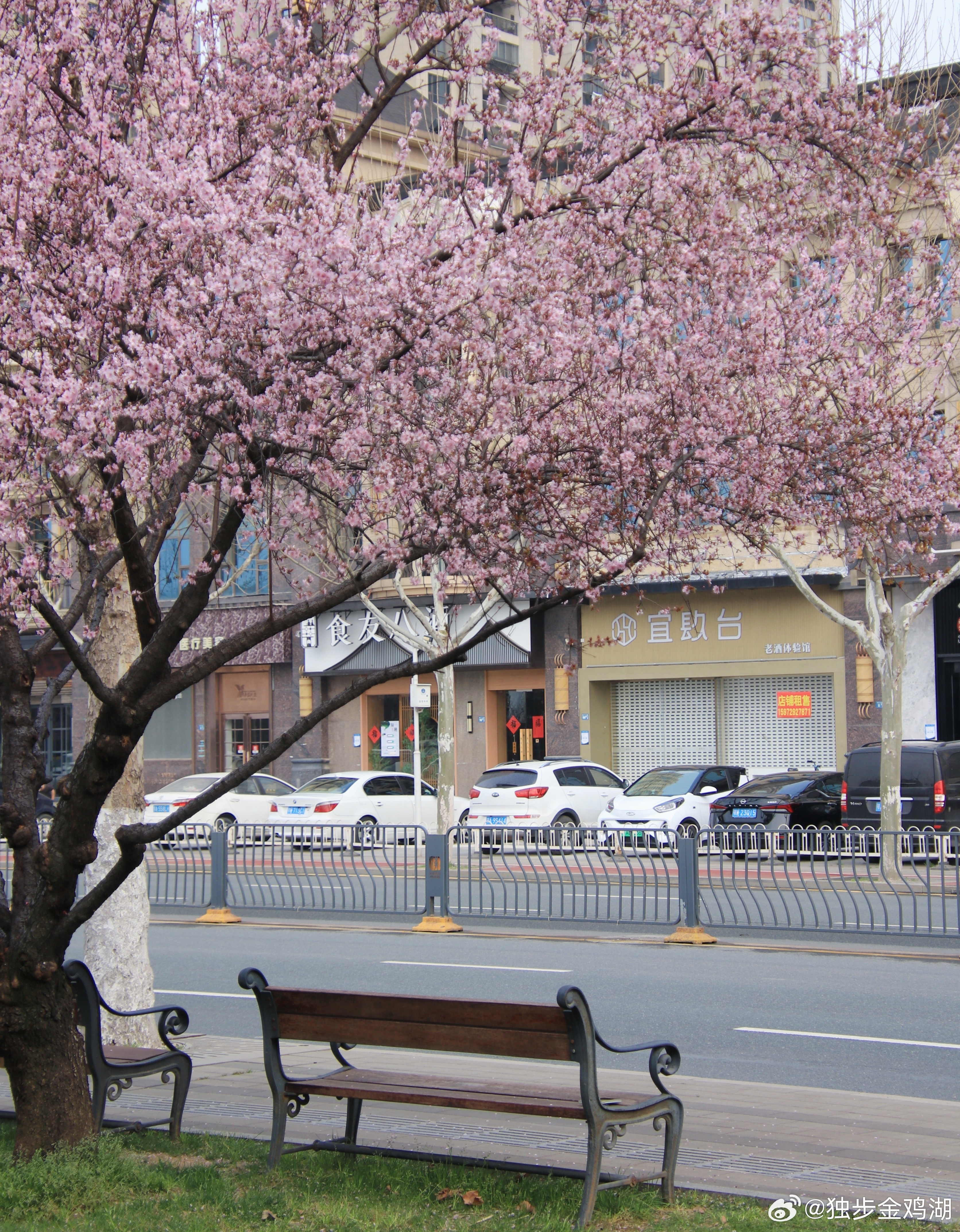 心里话       生活就像镜子，你对它微笑，它就还你晴朗。       