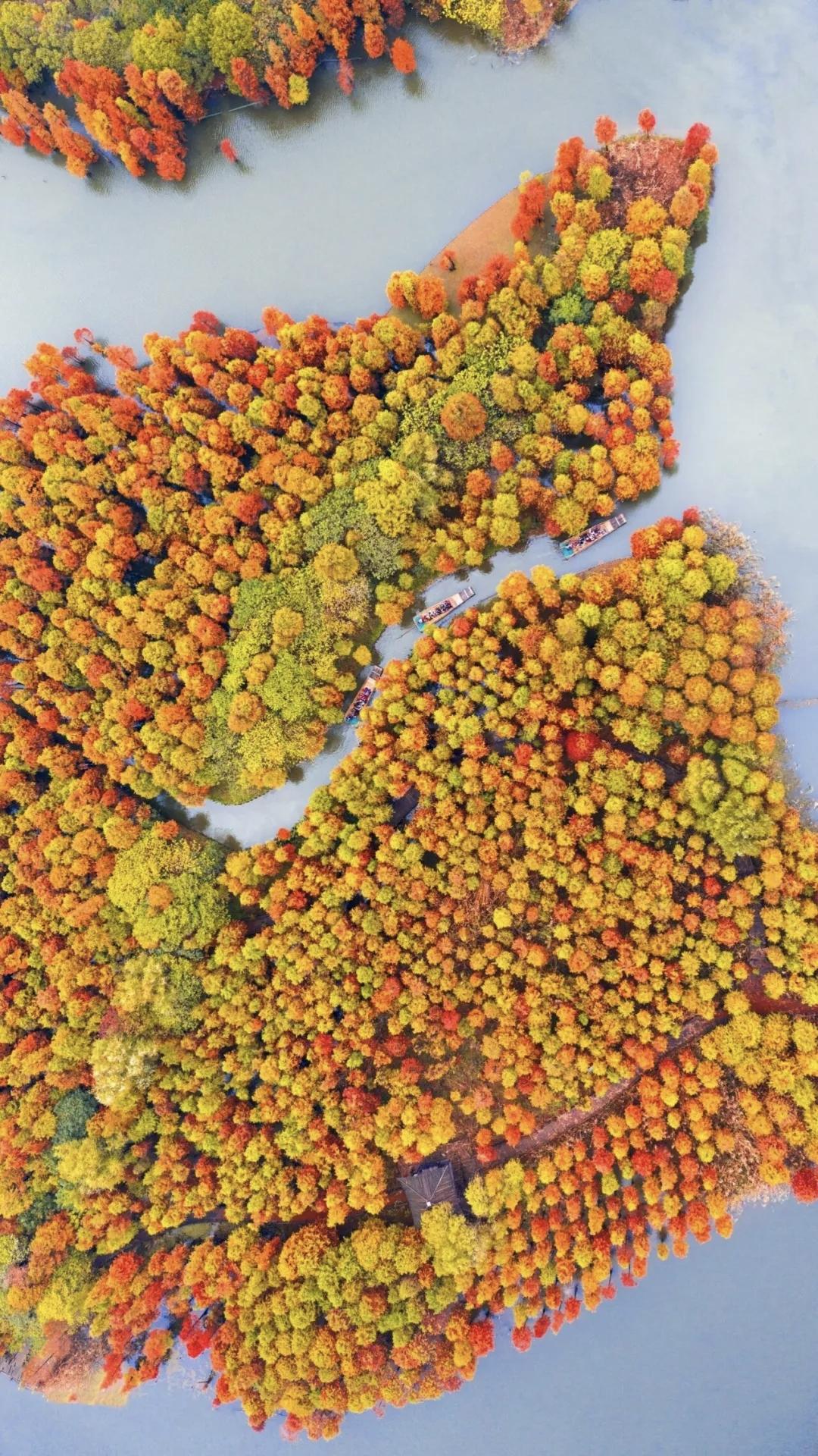 现在越来越多人喜欢独处，和工作生存环境压力大脱不了干系。在这个快节奏时代，大家每