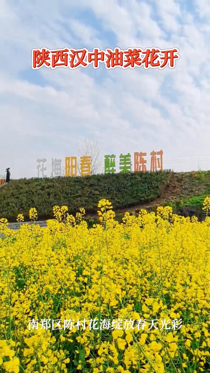 陕西汉中油菜花开，南郑区陈村花海绽放春天光彩。