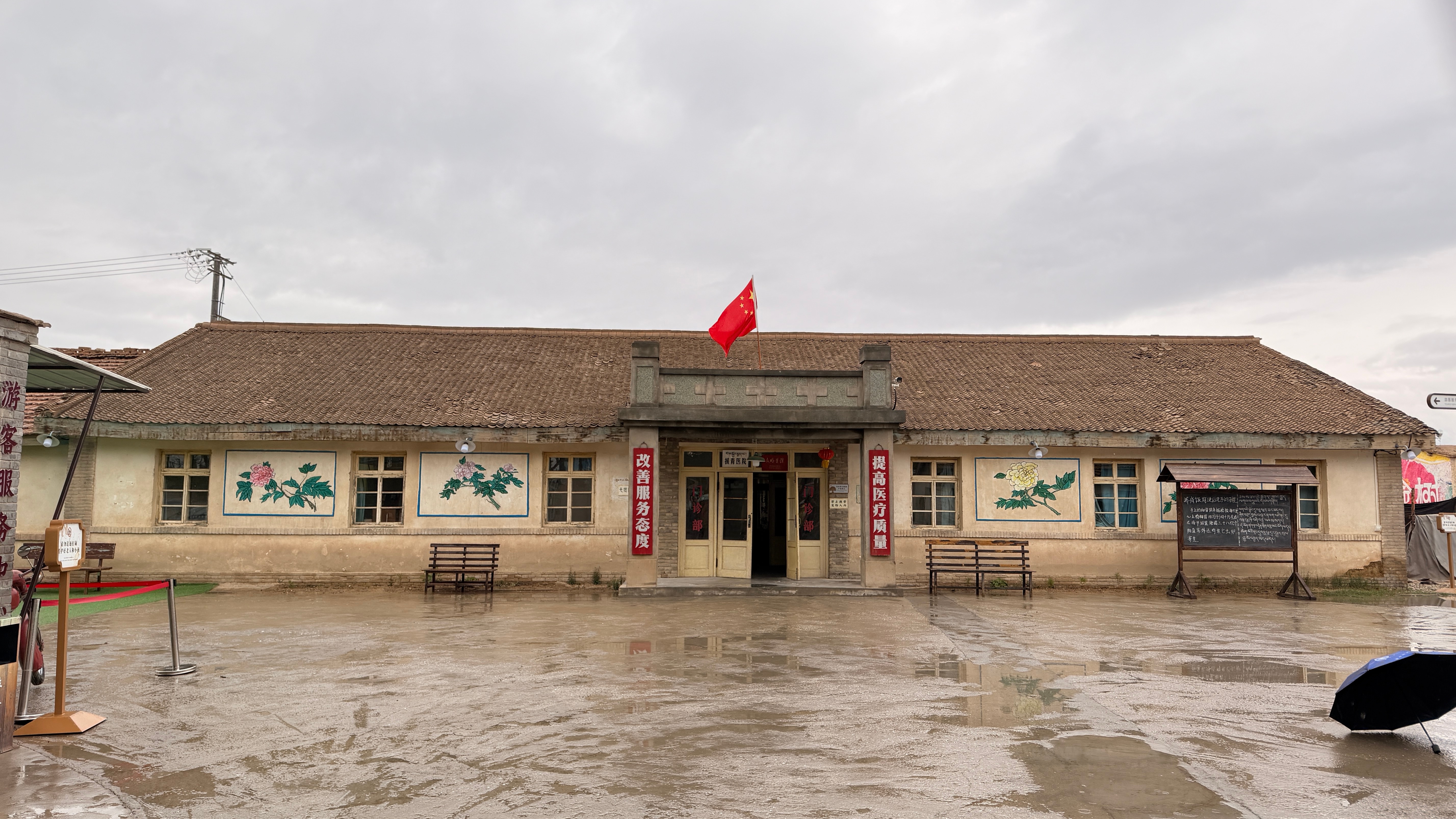 杨紫  紫妹我来了 德令哈·生命树取景点(柯鲁柯镇)