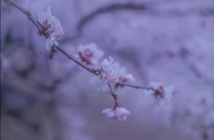 做什么事都会畅通无阻，顺风顺水 ​​​​