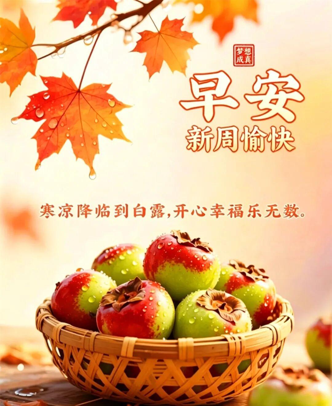 🌻🍀🎉白露节气今登场，续写金秋新篇章，蒹葭微黄野苍苍，晨曦白露结成霜，秋阳