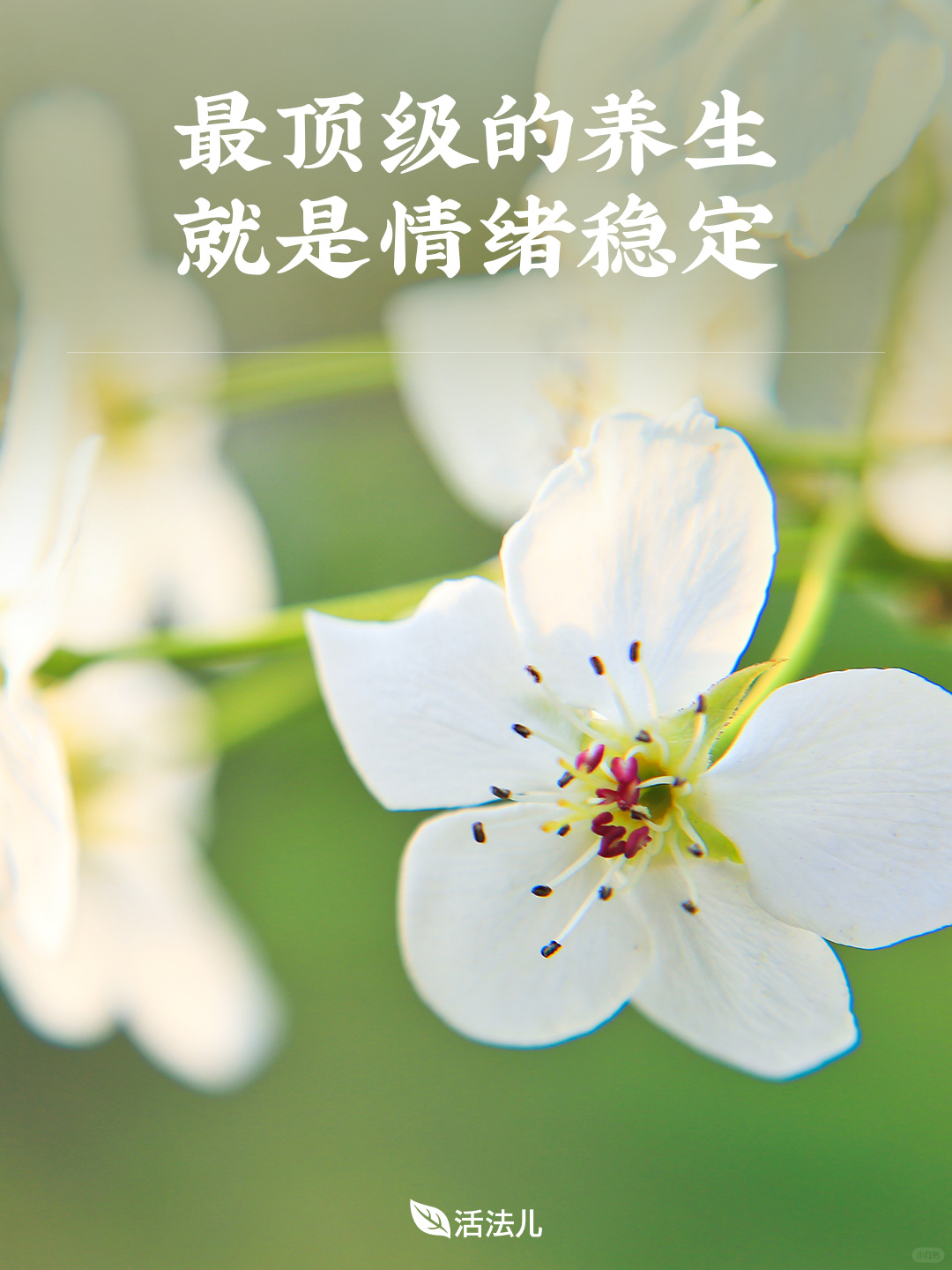 养生就是养情绪