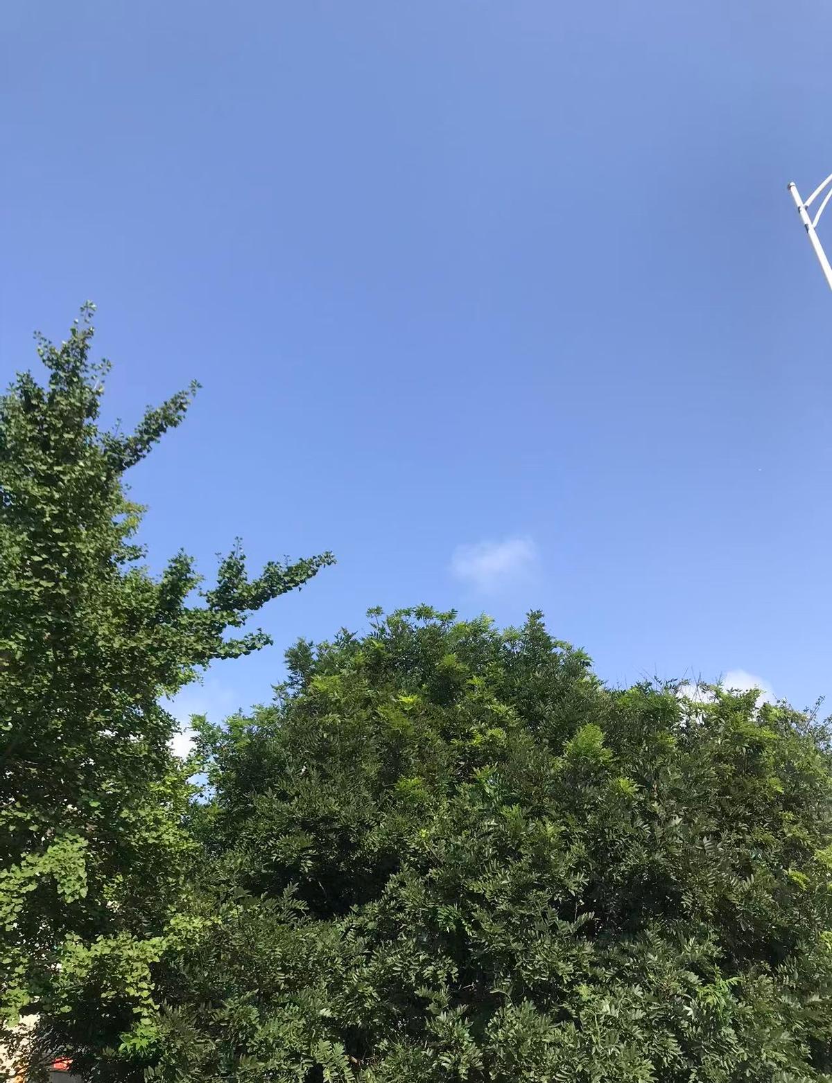 股市疯涨，钱包却发抖

全球裁员潮，股票却天天新高，到底跟不跟？

朋友阿杰去年