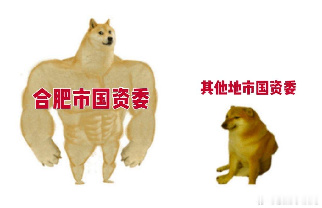 合肥国资委今天belike 
