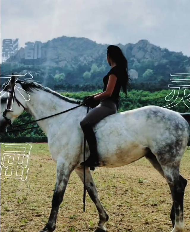 邓婵玉封神四个镜头含金量 封神的邓婵玉真的像是从书中走出来的角色！眼神不仅是锋利