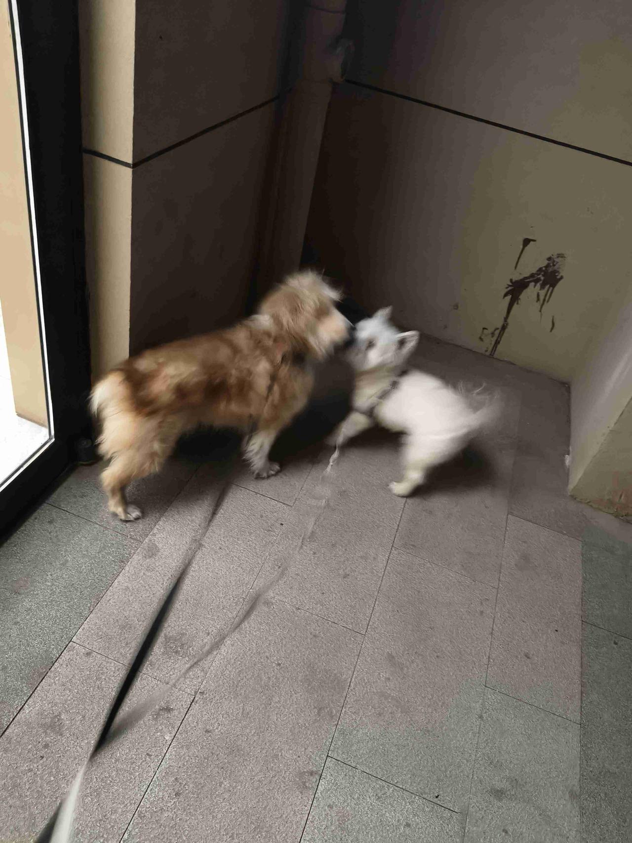 我的今日状态：😁轻松愉快
我这里的天气：☀️晴天